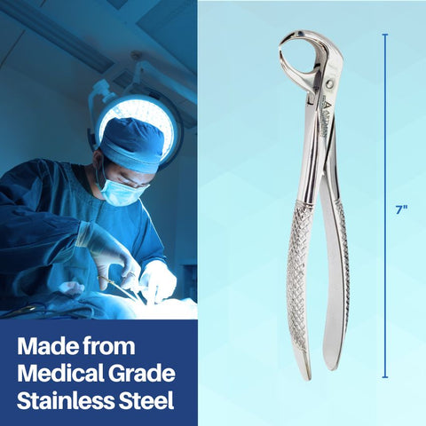 Dental Extraction Forceps (Lower Molars Cow Horn) #86 by Artman Instruments